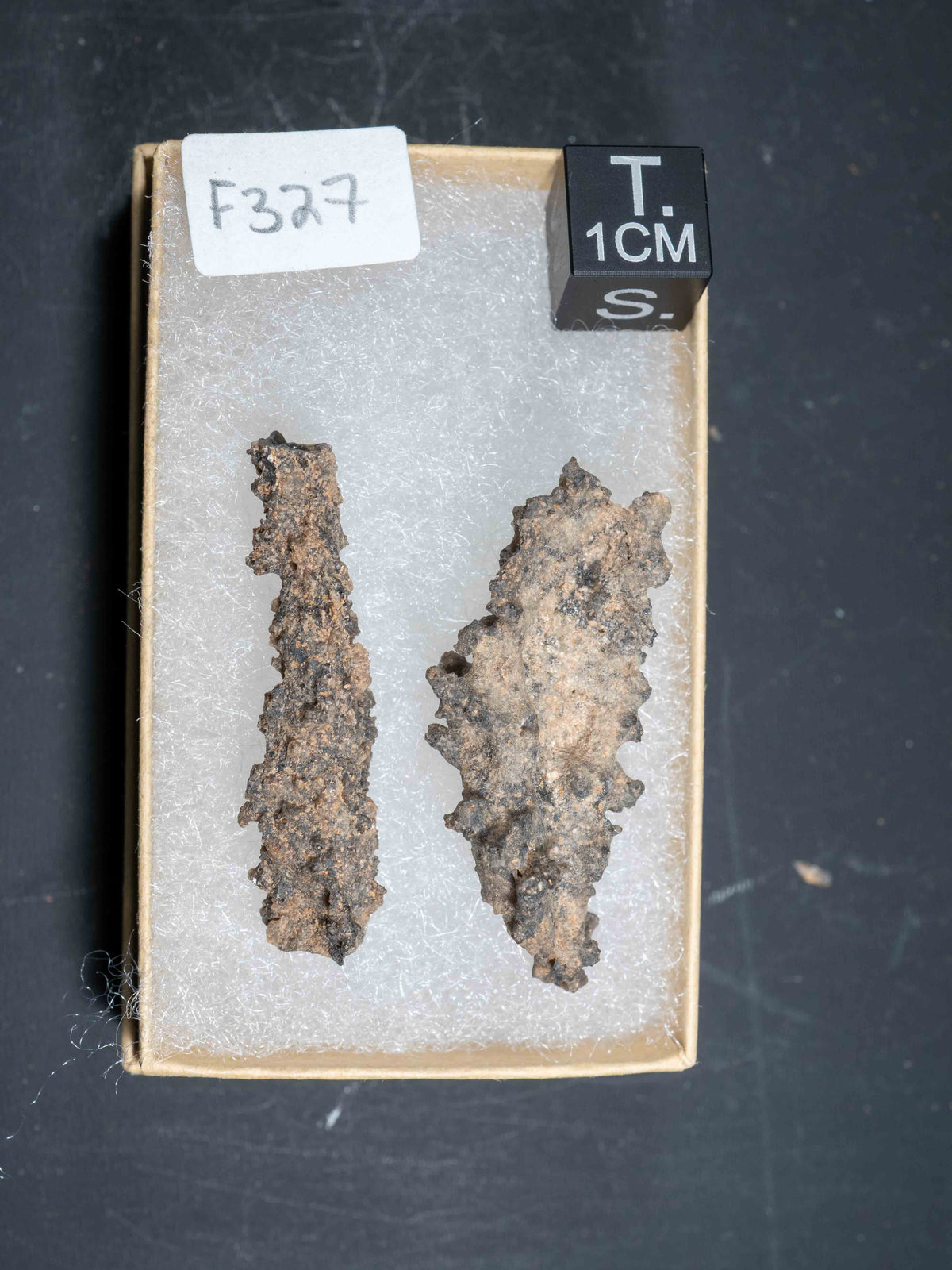 Fulgurite - Sahara Desert, Northern Africa