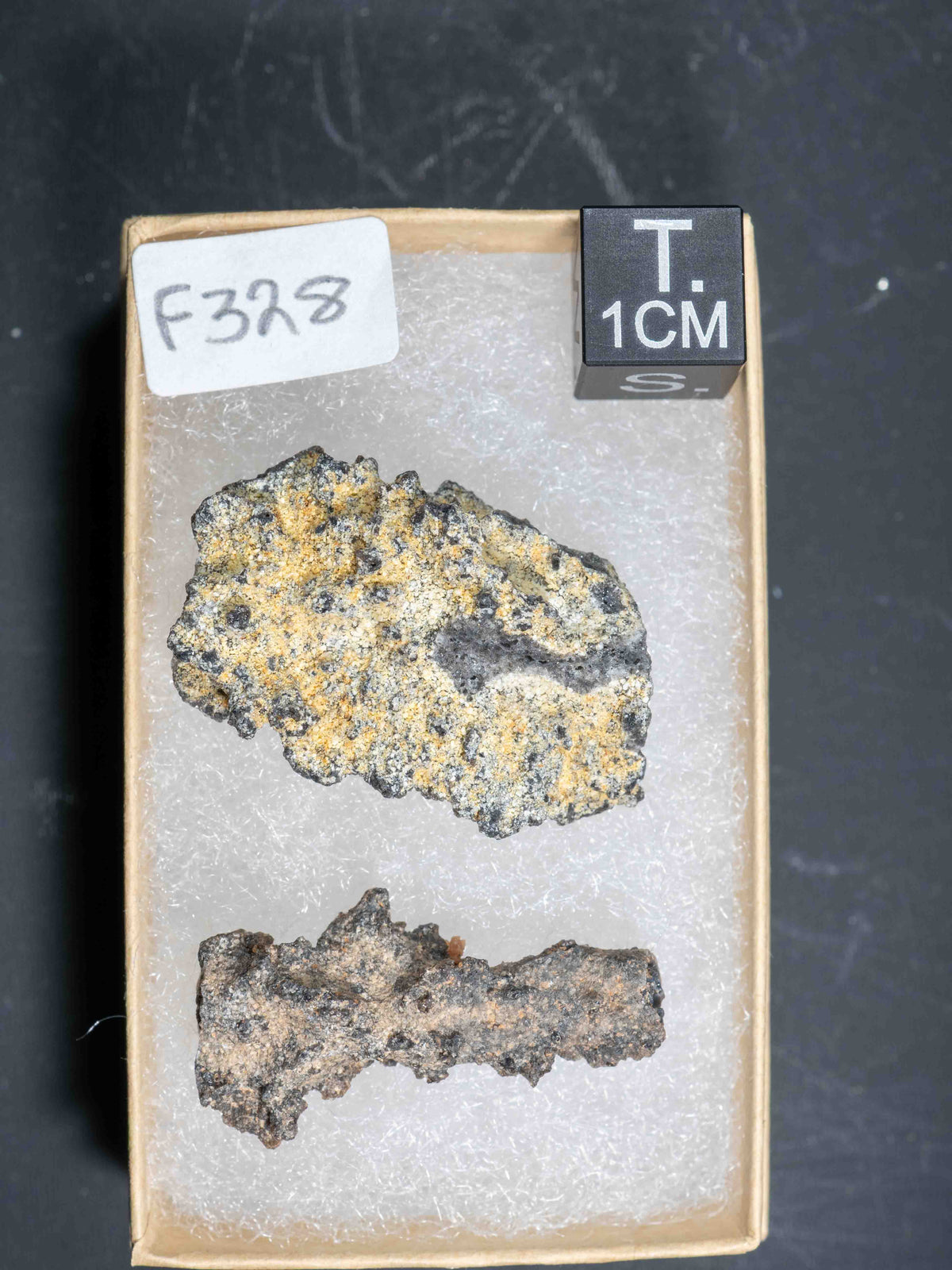 Fulgurite - Sahara Desert, Northern Africa