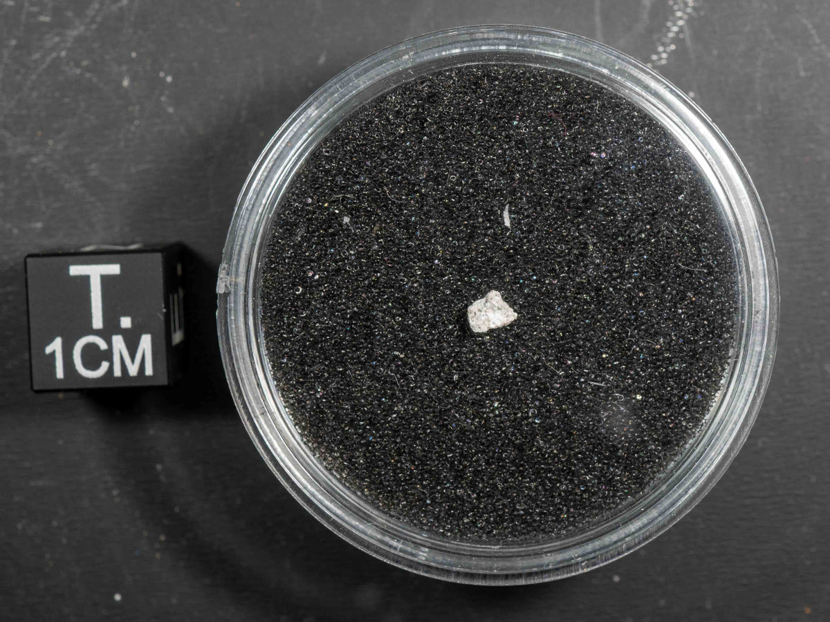 Wadsworth - Achondrite, Monomict Eucrite Micro Specimen