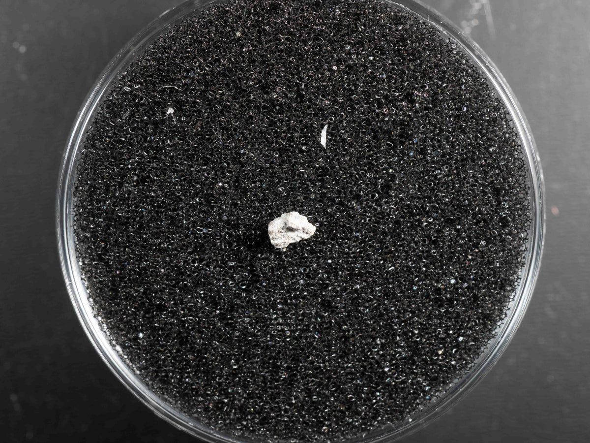 Wadsworth - Achondrite, Monomict Eucrite Micro Specimen