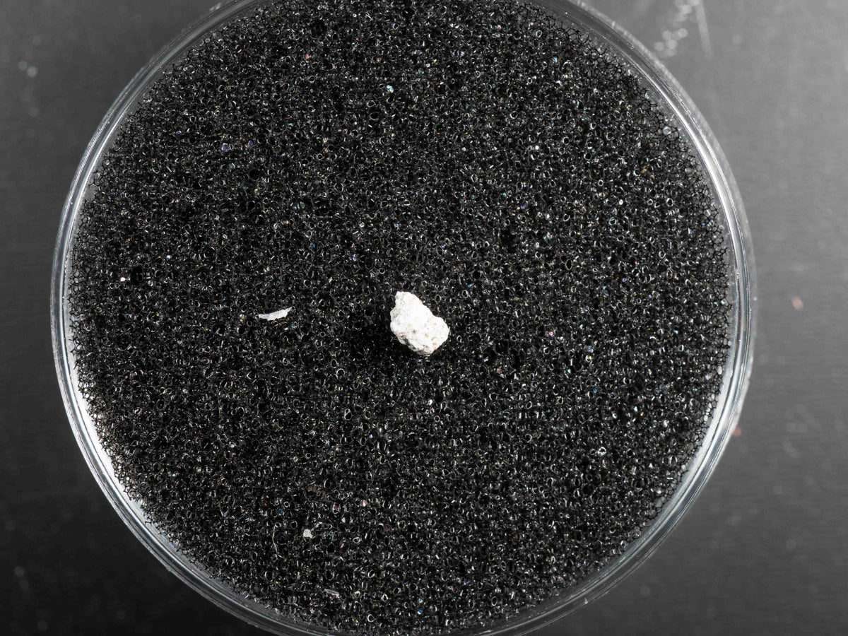 Wadsworth - Achondrite, Monomict Eucrite Micro Specimen