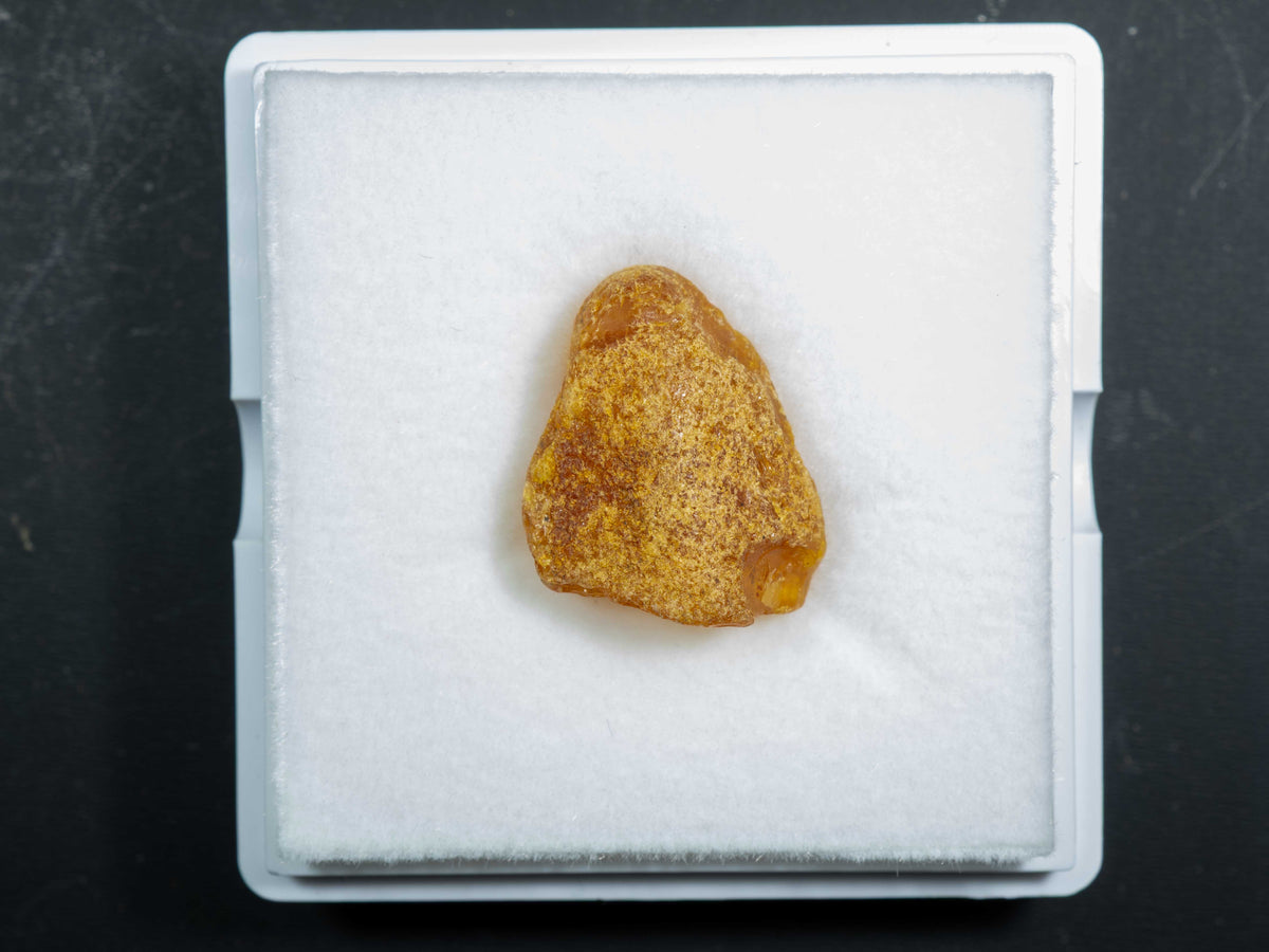 Baltic Amber
