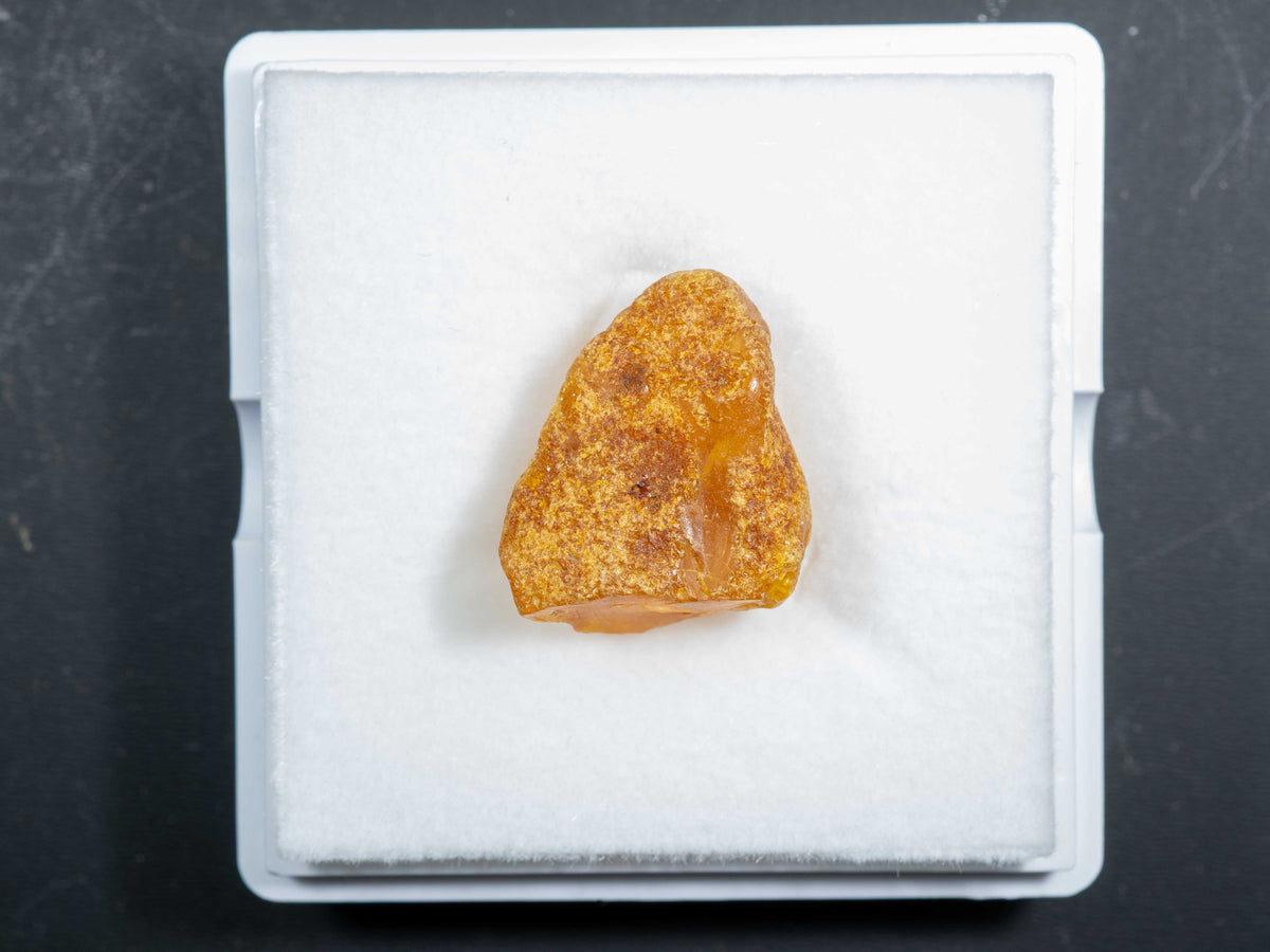 Baltic Amber