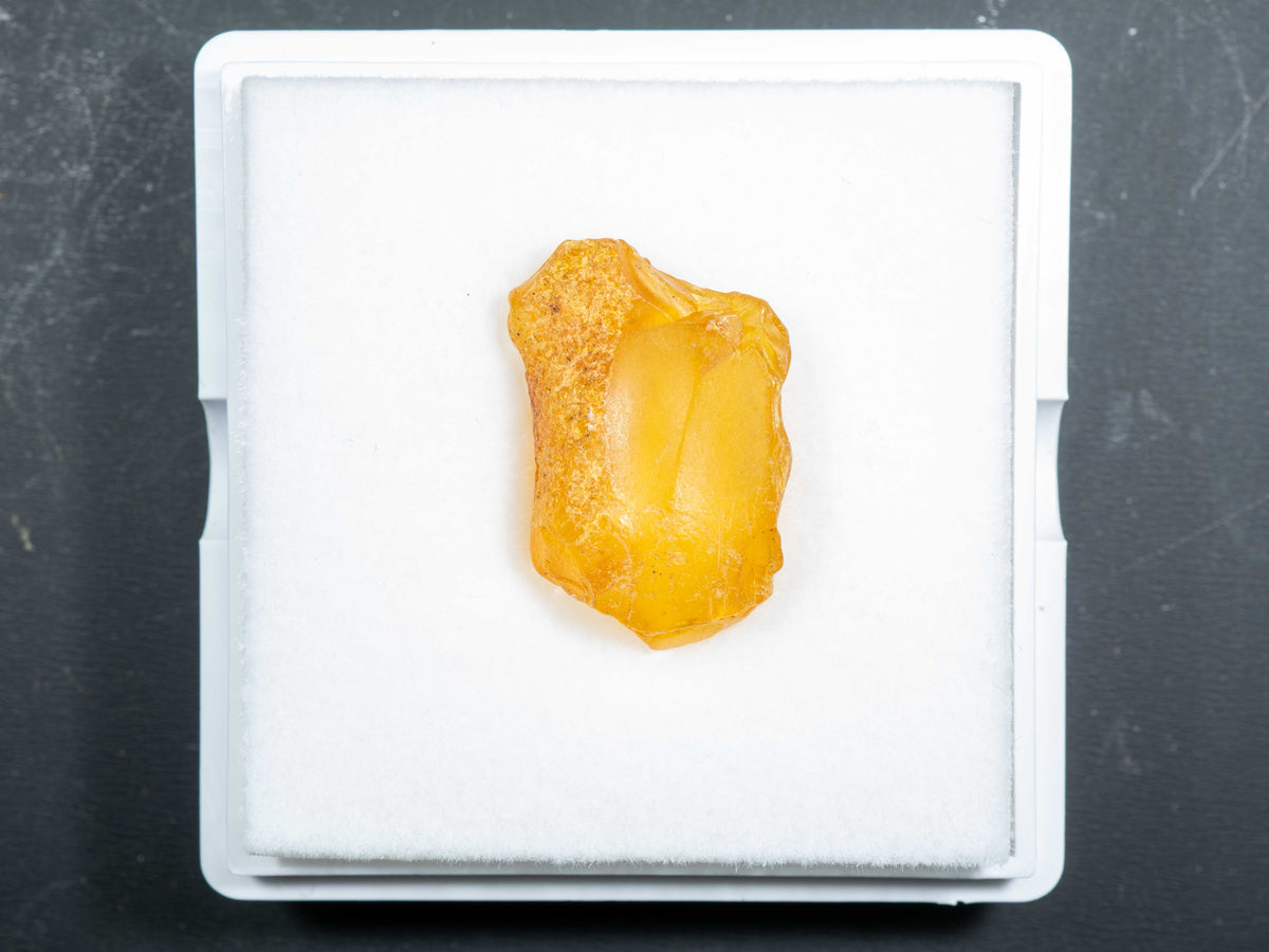 Baltic Amber