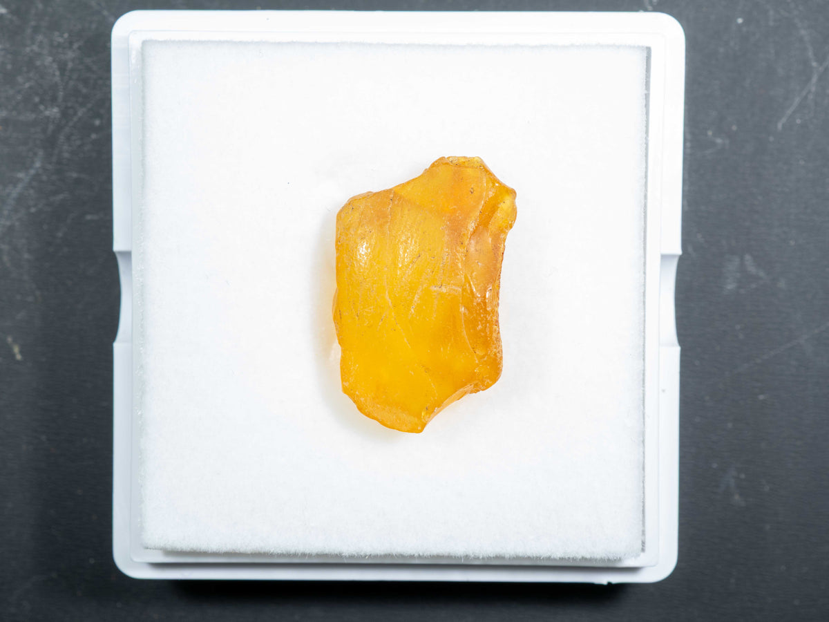 Baltic Amber