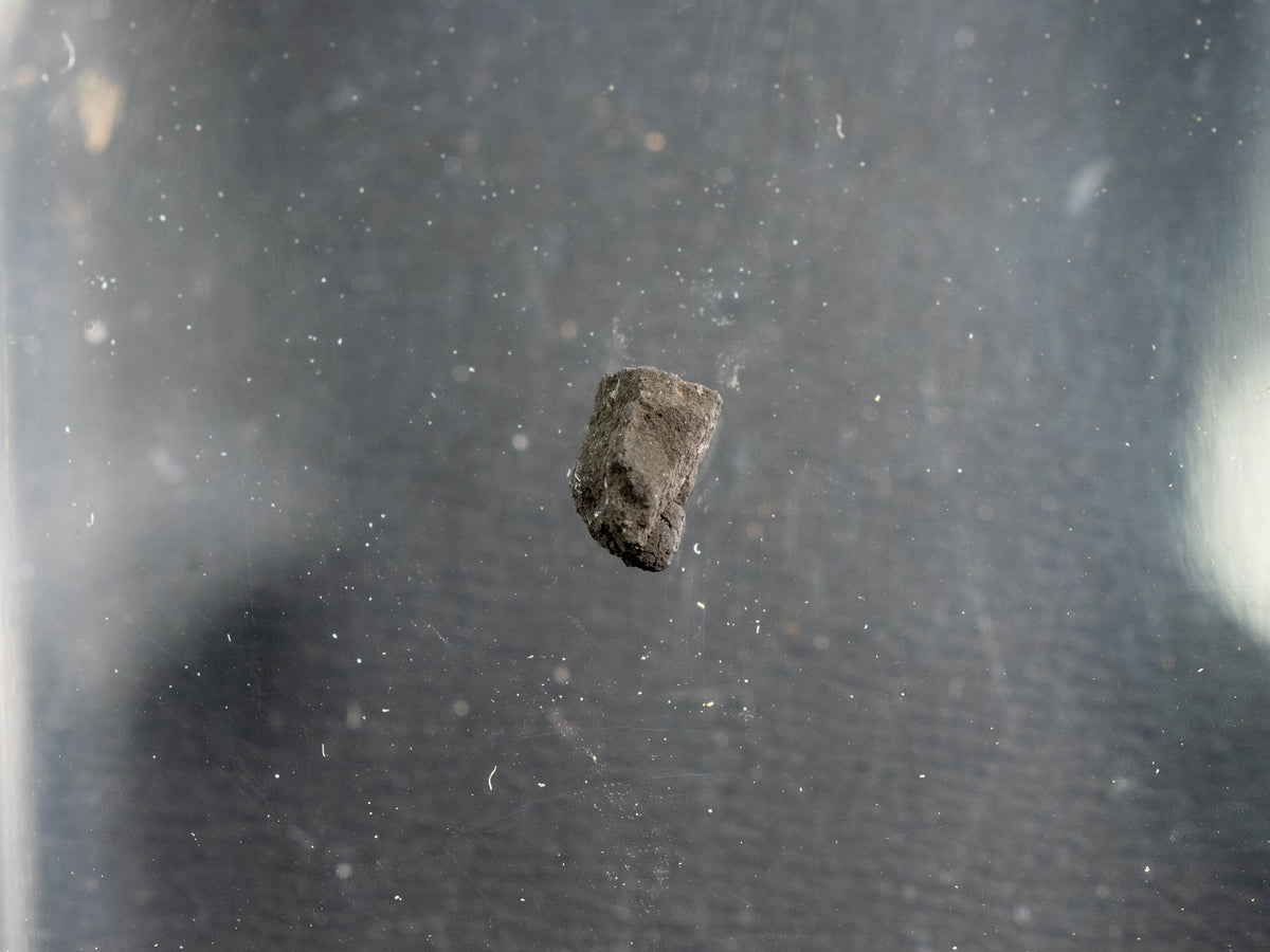 Tagish Lake - C2 UNG Carbonaceous Chondrite Micro Specimen