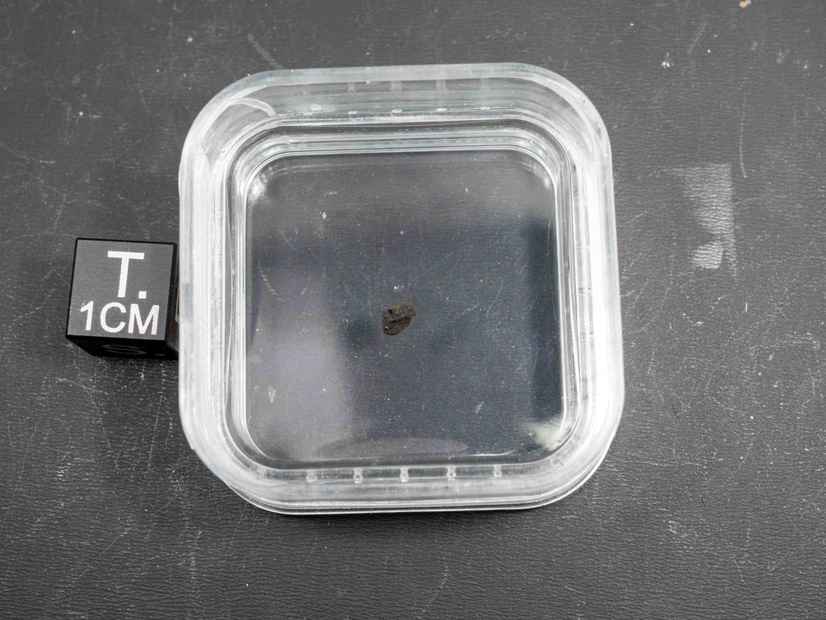 Tagish Lake - C2 UNG Carbonaceous Chondrite Micro Specimen