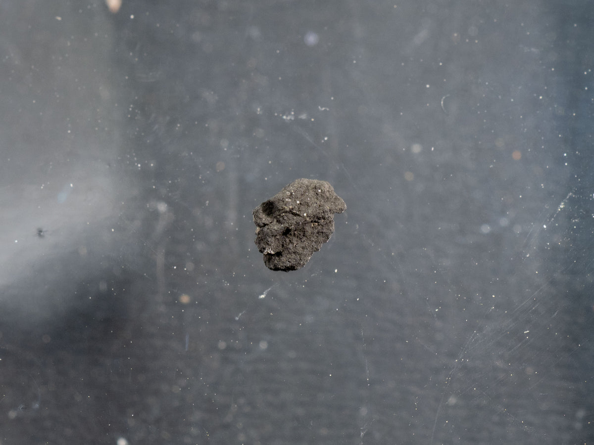 Tagish Lake - C2 UNG Carbonaceous Chondrite Micro Specimen