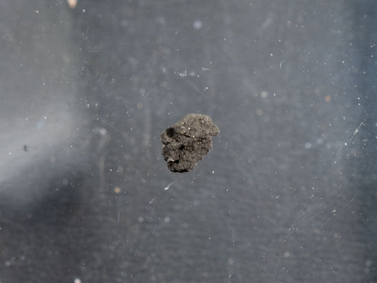 Tagish Lake - C2 UNG Carbonaceous Chondrite Micro Specimen