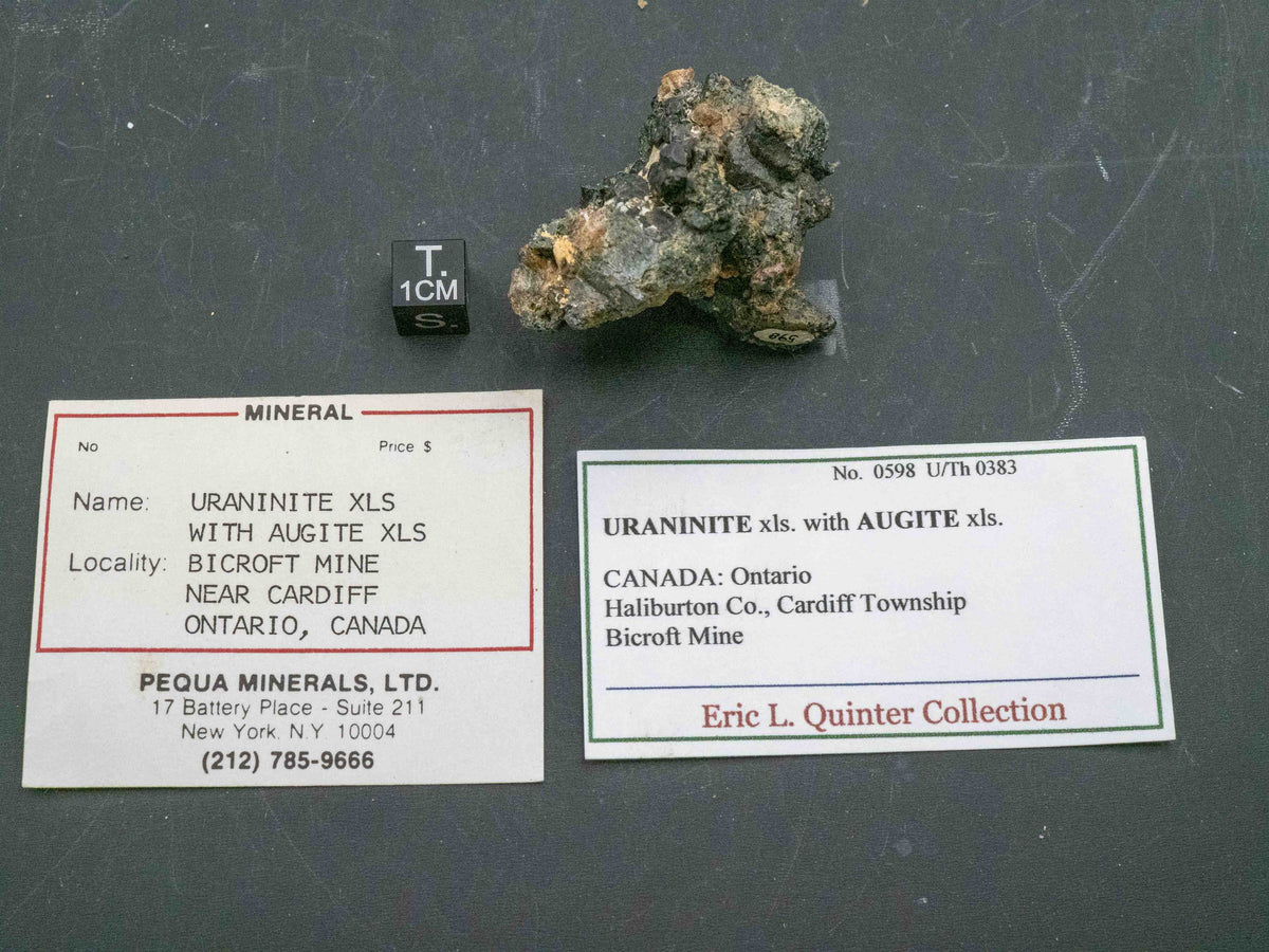 Uraninite Crystals in Augite - Bicroft Mine, near Bancroft, Ontario