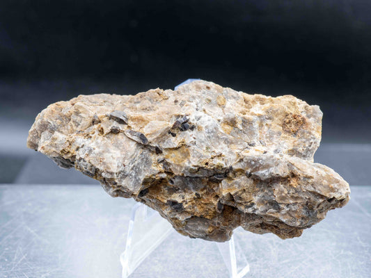 Cyrtolite Zircon in Matrix - Saranac Property, near Bancroft, Ontario