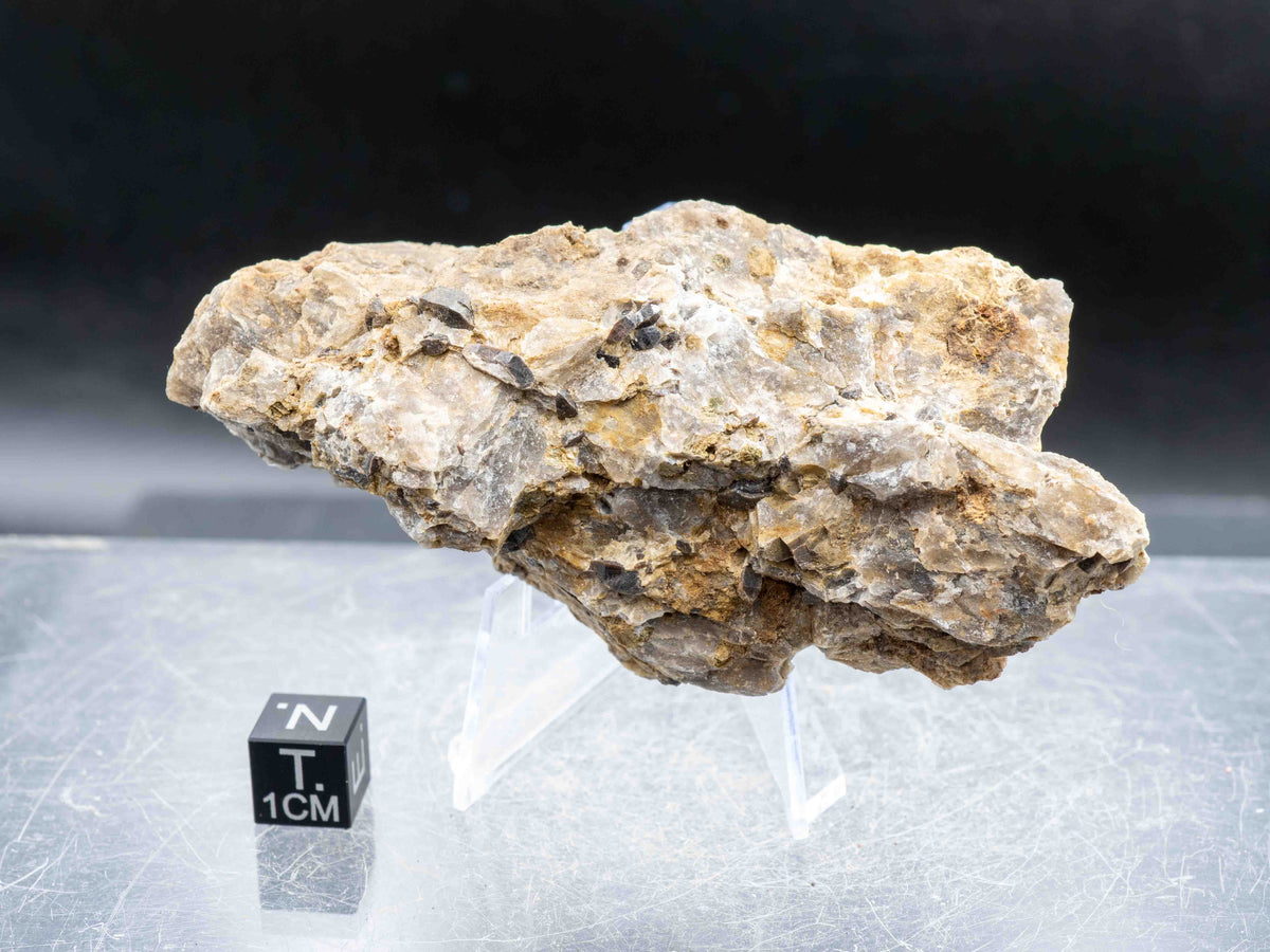 Cyrtolite Zircon in Matrix - Saranac Property, near Bancroft, Ontario