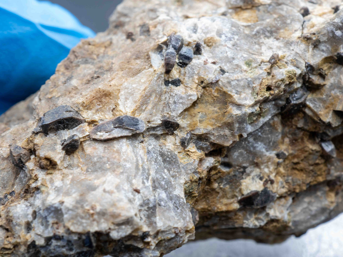 Cyrtolite Zircon in Matrix - Saranac Property, near Bancroft, Ontario