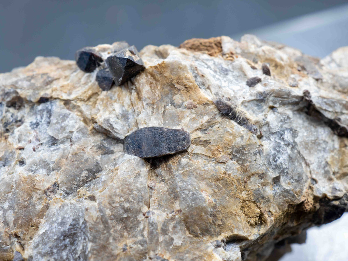 Cyrtolite Zircon in Matrix - Saranac Property, near Bancroft, Ontario