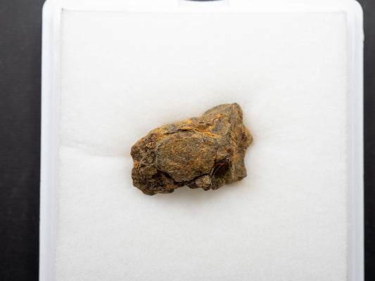 Sericho - Pallasite, Main Group Individual Specimen