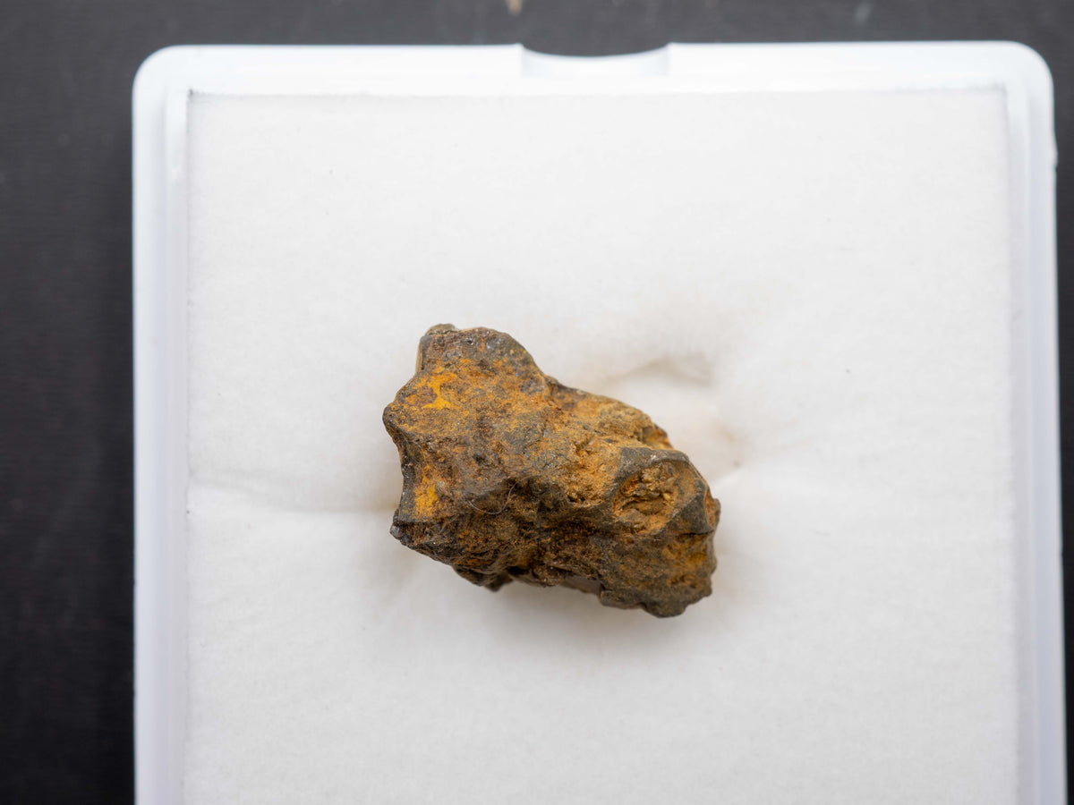 Sericho - Pallasite, Main Group Individual Specimen