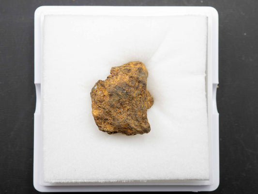 Sericho - Pallasite, Main Group Individual Specimen