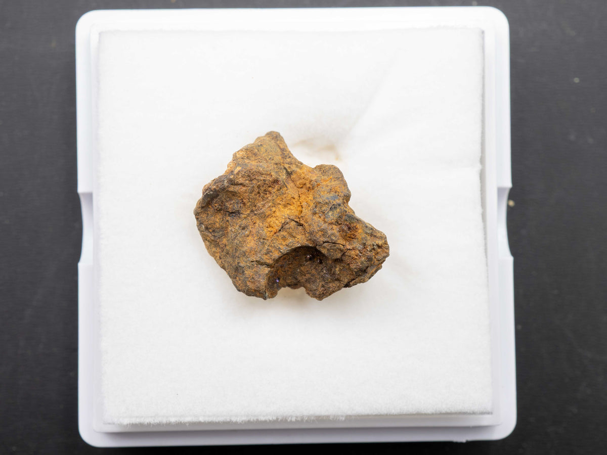 Sericho - Pallasite, Main Group Individual Specimen