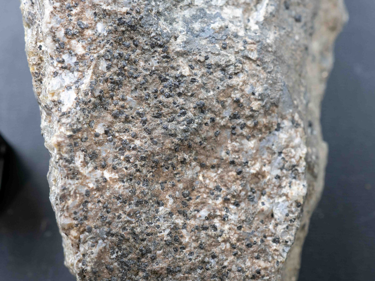 Uraninite var. Thucolite with Pyrrhotite - Agnew Lake Mine, Agnew Lake, Ontario, Canada (ex. Eric Quinter collection)