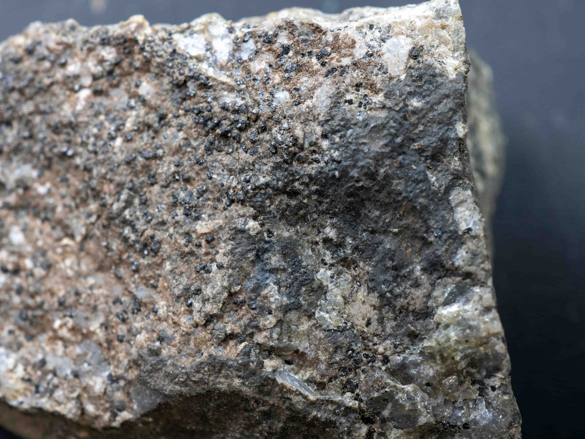 Uraninite var. Thucolite with Pyrrhotite - Agnew Lake Mine, Agnew Lake, Ontario, Canada (ex. Eric Quinter collection)