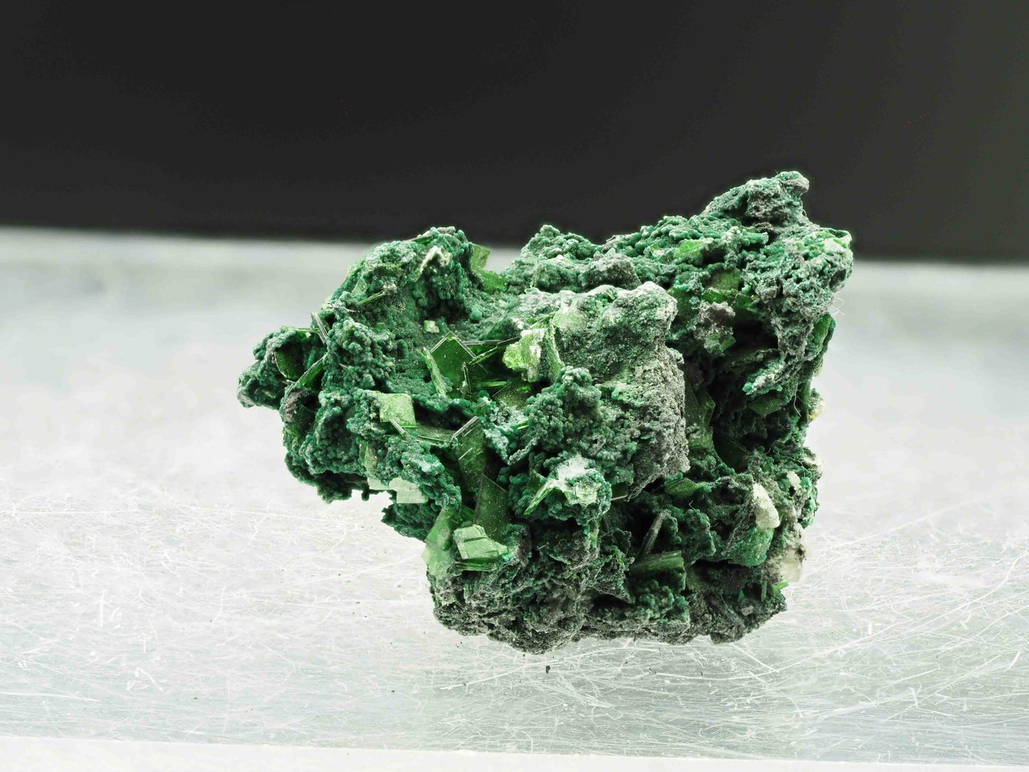 Metatorbernite - Musonoi Mine, Democratic Republic of Congo