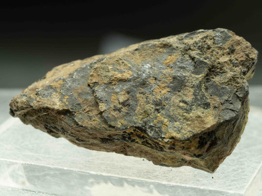 Uraninite - Ace Deposit, Eldorado Mining & Refining Ltd. mines, Beaverlodge Lake area, Saskatchewan, Canada