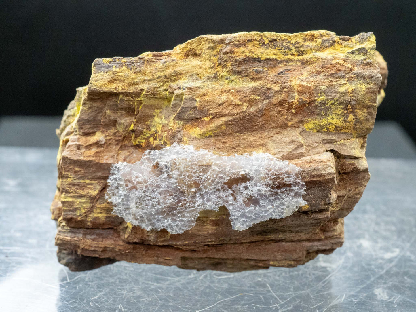 Tyuyamunite in Petrified Wood - Monument No. 2 Mine, Monument No. 2 channel, Yazzie Mesa, Cane Valley Mining District, Apache County, Arizona, USA