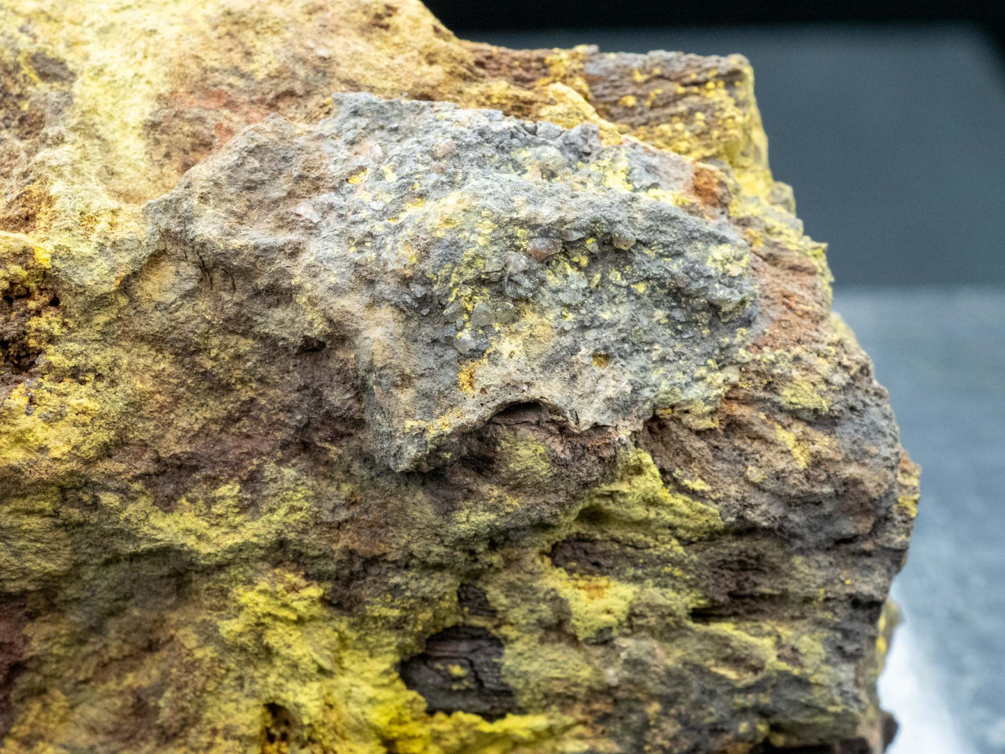 Tyuyamunite in Petrified Wood - Monument No. 2 Mine, Monument No. 2 channel, Yazzie Mesa, Cane Valley Mining District, Apache County, Arizona, USA