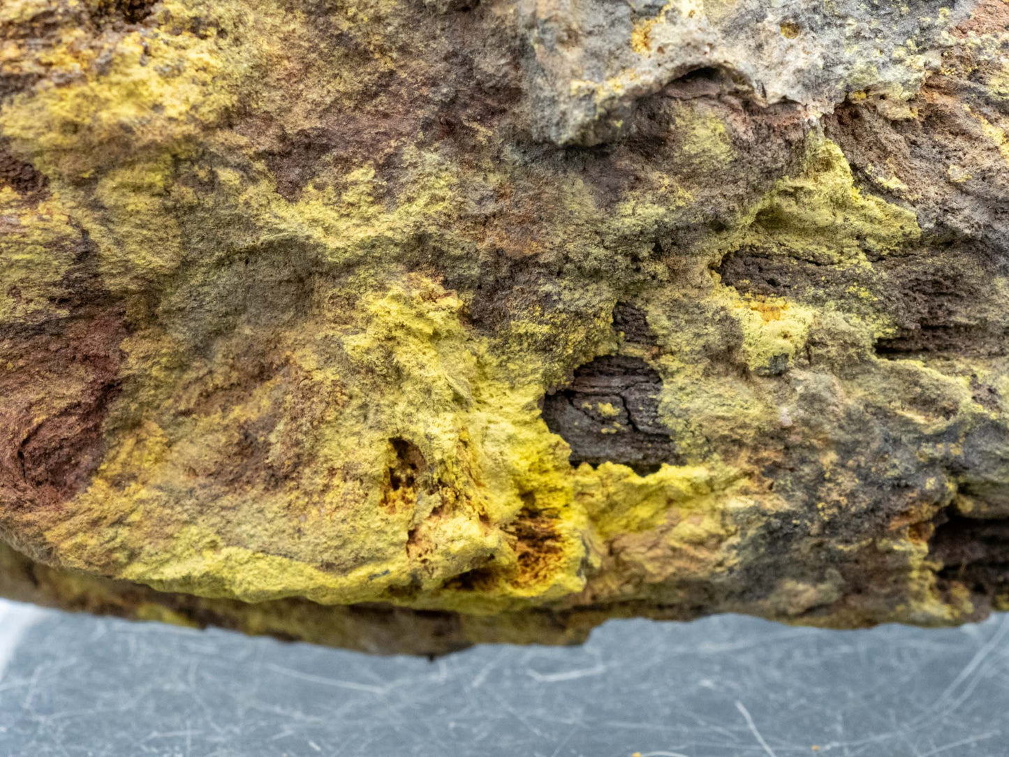 Tyuyamunite in Petrified Wood - Monument No. 2 Mine, Monument No. 2 channel, Yazzie Mesa, Cane Valley Mining District, Apache County, Arizona, USA