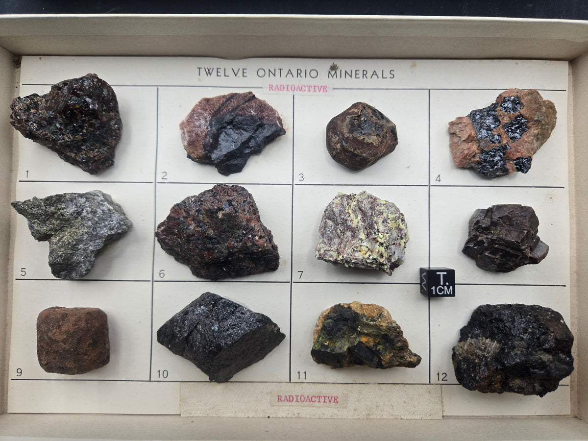 Twelve Ontario Minerals — Vintage Radioactive Mineral Teaching Set